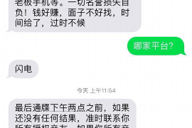 潮南潮南的要账公司在催收过程中的策略和技巧有哪些？